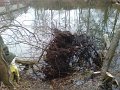DSC00506-700