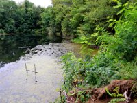 09 Arbeitsdienst Neuer Weiher 01