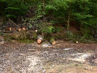 09 Arbeitsdienst Neuer Weiher 08