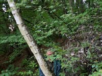 09 Arbeitsdienst Neuer Weiher 09
