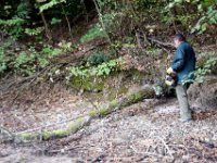 09 Arbeitsdienst Neuer Weiher 14