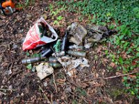 09 Arbeitsdienst Neuer Weiher 17