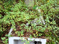 09 Arbeitsdienst Neuer Weiher 22