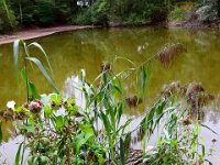 09 Arbeitsdienst Neuer Weiher 24