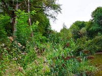 09 Arbeitsdienst Neuer Weiher 26