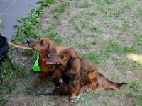 BFF Samstag 17